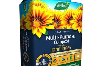 Westland Peat-free John Innes Multi-purpose Compost 25L – Free C&C Only