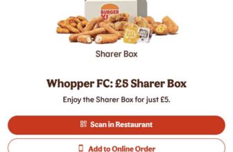 Whopper FC Sharer Box – 5 Nuggets, 5 Chilli Cheese Bites, 5 Garlic and Jalapeño Chicken Fries and 5 Onion Rings served with two dip pots