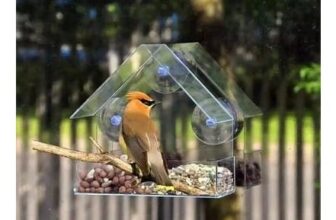 Window Bird Feeder