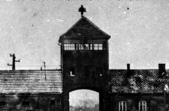 World War II Auschwitz: A History from Beginning to End (The Holocaust) Amazon Kindle