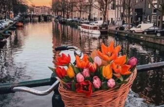 2 night 4 star Amsterdam city break with return flights from London £139pp 31 Aug (3 nts £20 extra pp)