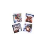 24 Animal Image Christmas Cards Multipack
