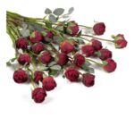 24pcs Silk Roses with Long Stems – Vintage Red