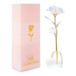 AWAVM Galaxy Rose Glitter Roses Gifts for Women