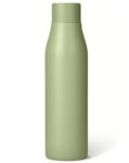 Amazon Basics Insulated Stainless Steel Water Bottle, 591.5ml, BPA-Free, Olive