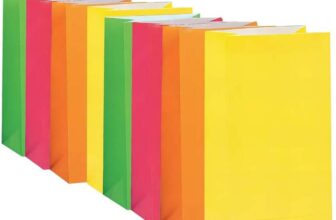 Assorted Neon Color Paper Party Bags (25cm x 12cm) 10 Count