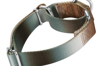 Axdvk Martingale Dog Collar Color Gradient, Anti-Escape, Silver Brown, Medium
