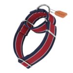 Axdvk Martingale Nylon Dog Collar, 4cm, 1600D, No-Pull