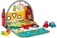 Baby Einstein Farm Explorers Busy Barnyard 4-in-1 Musical Activity Gym with Shape Sorter