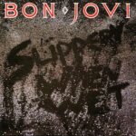 Bon Jovi Slippery When Wet Vinyl album (With code)