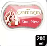 Carte DOr Mini Indulgence Chocolate Cookie / Eton Mess / Vanilla Caramel Pecan Ice Cream Dessert 200ml