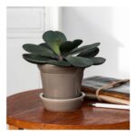 Ceramic Plant Pot and Saucer