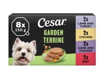 Cesar Garden Terrine Wet Dog Food Tray Beef,Lamb,Poultry,Game Loaf 8 X 150g
