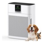 DEAL STACK – TENKER AP2410 Air Purifier, CADR 200, PM2.5 Monitor