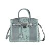 Designer Inspired – 100% Genuine Leather Snakeskin Pattern Crossbody Bag – Green