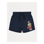 Disney Cars Navy Shorts ( Only Size 4-5 Years Left) – Free CC