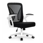 Durrafy Ergonomic Mesh Chair with Lumbar Support and Flip-up Armrests