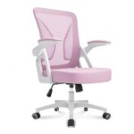 Durrafy Ergonomic Office Chair, 90 Flip-up Armrests, Lumbar Support, Pink