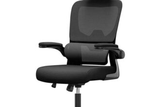 EXCLUSIVEErgonomic (Home) Office Chair with Lumbar Support w/code Bigzzia Outdoor Furniture Store