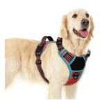 Eagloo Large Dog Harness – Easy to Wear with 3 Buckles