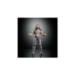 Elite Collection Premium Live Seth Rollins Action Figure