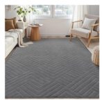 Enyhom Soft Rugs for Living Room, Non-Slip Washable Grey Rug