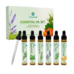 Essential Oils for Diffusers: Peppermint Lavender Eucalyptus – £5.69 S&S Voucher