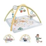 Fisher-Price Simply Senses Newborn Gym Tummy Time Toy