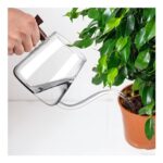 FrutPunch Glass Watering Can 800ml for Indoor Plants