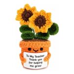 JIPITIMI Cute Crochet Sunflower Teacher Gift