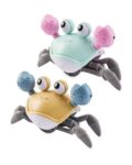 KINDER VALLEY Scuttle Crab
