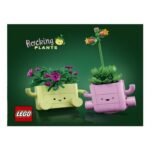 LEGO Botanicals Rocking Plants Construction Set 11506