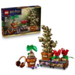 LEGO Harry Potter Hogwarts Herbology Plants 76474 – Discount at Checkout