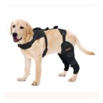LISPOO Dog Knee Brace for ACL, Arthritis & Patellar Luxation-XL
