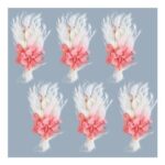 Larber 6pc Mini Dried Flower Bouquets Boho Wildflower for Vases