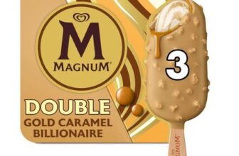 Magnum Ice Cream Sticks Double Gold Caramel Billionaire 3x 85 Ml
