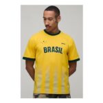Man Regular Fit Ringer Sports T-Shirt