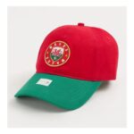Mens Fifa Red Wales Football Cap – One Size