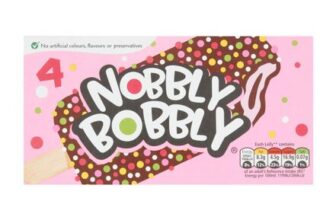 Nobbly Bobbly Strawberry & Chocolate Nobbly Ice Lolly 4 X 60ml