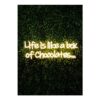 Premier Decorations LED Neon Life is like a Box of Chocolates Sign