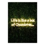 Premier Decorations LED Neon Life is like a Box of Chocolates Sign