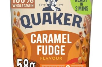 Quaker Heavenly Oats Caramel Fudge Porridge Pot 58g (Case of 8)