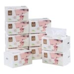 Saedy 10-Pack Soft Facial Tissues, 4-Ply, 100 per Pack