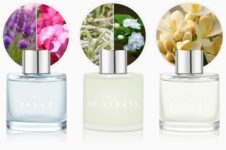 Set of 3 Fragrance Reed Diffusers,50ml Lavender Jasmine Freesia Aromatherapy Diffuser Set with 12 Black Fiber Sticks,Air Freshener for Bedroom Bathroom Office