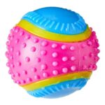 Sharples Five Senses Rubber Ball Small All Breeds