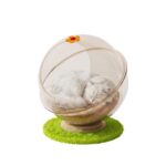 SnagShill Acrylic Cat Pod Bed – 360 Transparent Capsule