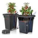 Spider Farmer DWC Grow System, 7-Gallon Buckets, Drip Kit