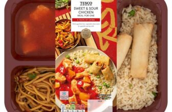 Tesco Sweet & Sour Chicken or Black Bean – Meal For One 500g – Clubcard Price