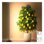 Uocub Standing Grow Light with Timer, 6000K Full Spectrum, Adjustable