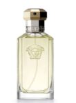 Versace The Dreamer For Him Eau de Toilette 100ml (£18.43 with Student Discount). Free C&C